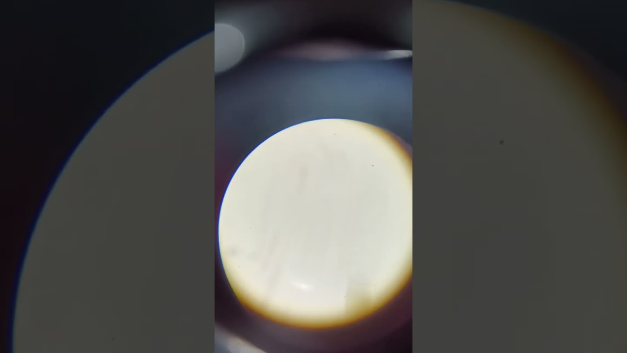 colgate experiment under a microscope