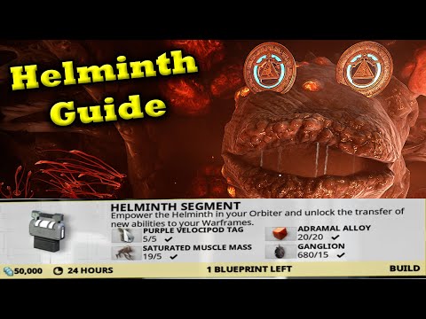 Warframe | How To Get The Helminth Segment | Helminth Guide