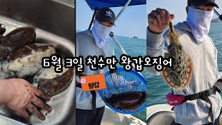 6월 3일 천수만 왕갑오징어 낚시 최연소 예비선장과🙏🫡 #천수만 #갑오징어 #장은항 #레저보트 ##히야호