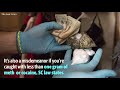 Consequences for drug-related arrests in South Carolina