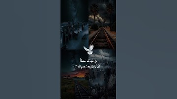 #تلاوة_خاشعة #اكسبلور #القزابري #دويتو #الرحمن #قرآن #لايك #المصحف #duet #الطحان