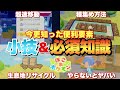 【ぽこあポケモン】他では知れない！便利過ぎる機能&知って得する小技テクニックなど！