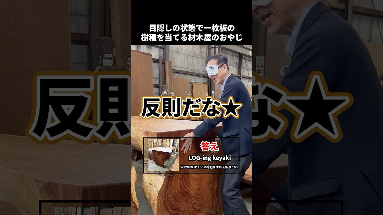 目隠しで樹種を当てる材木屋のおやじ|LOG-ing Keyaki 欅【岡崎製材】 #shorts