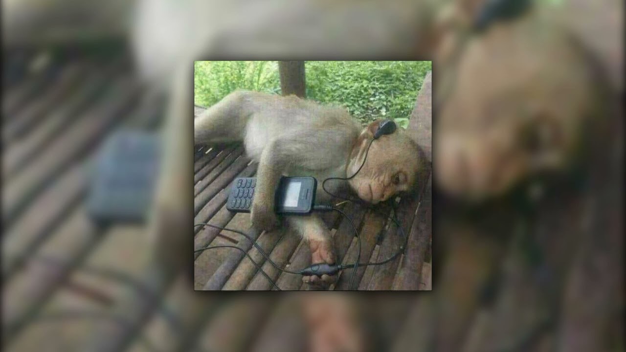 There are worse things i could do - Grease [sped up]