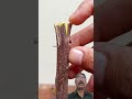DIY💥Easy Grafting Technique#Bougainvillea #Grafting #GardeningTips #MalayalamGardening
