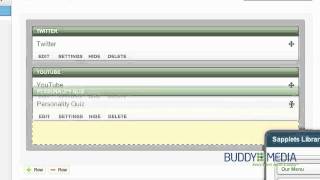 The Buddy Media Platform screenshot 2