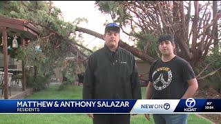 House hit hard and loses power from fallen tree
