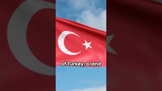 Turkey 101 Politics, Economy, And Culture In A Nutshell