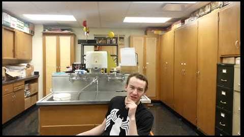 PHYSICS Loop-de-loop Lab