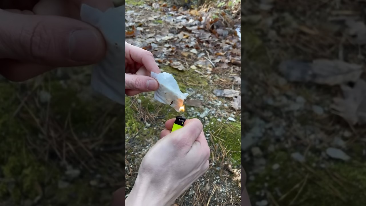 Flammable Wood?! 🤯🔥 