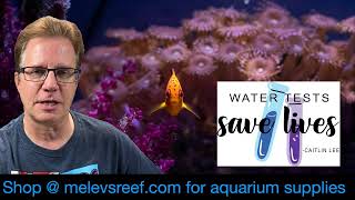 Lets Talk about water changes