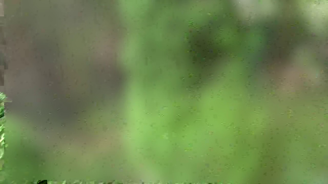 A Tour of Zehr Estate's Grounds  ... Part 1