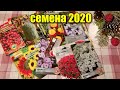 Семена цветов на 2020 год/ Садовые покупки/ Где купить кашпо, вазоны для цветов, НЕдорого/ #обзор