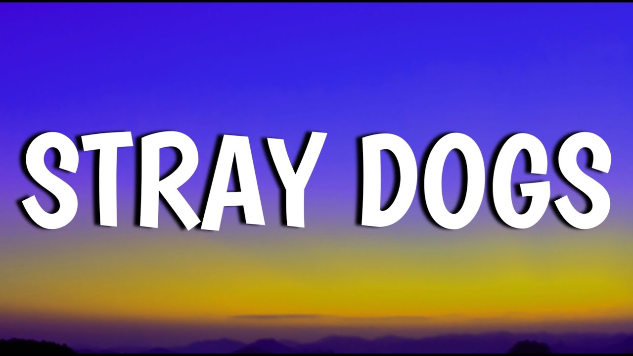 Justin Moore Stray Dogs (Lyrics) YouTube