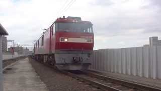 EH500 3次形 60号機 東北本線4050レ(TOYOTA LONGPASS EXPRESS)