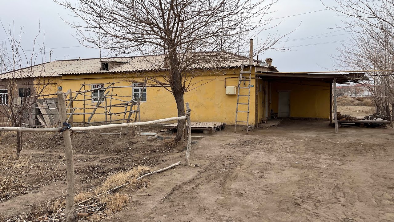 АБАЙ ЭМКАДУСДА ТАЙОР ЖАЙ КЕЛИШЛГАН НАРХДА СОТИЛАДИ 