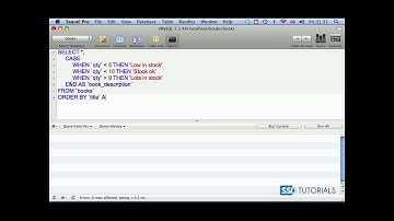 02  MySQL CASE statement