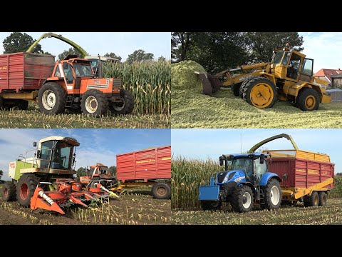 Mais hakselen en inkuilen bij Lohuis met Claas Jaguar 840, Fiat 1580 DT en Werklust WG35 (2025)