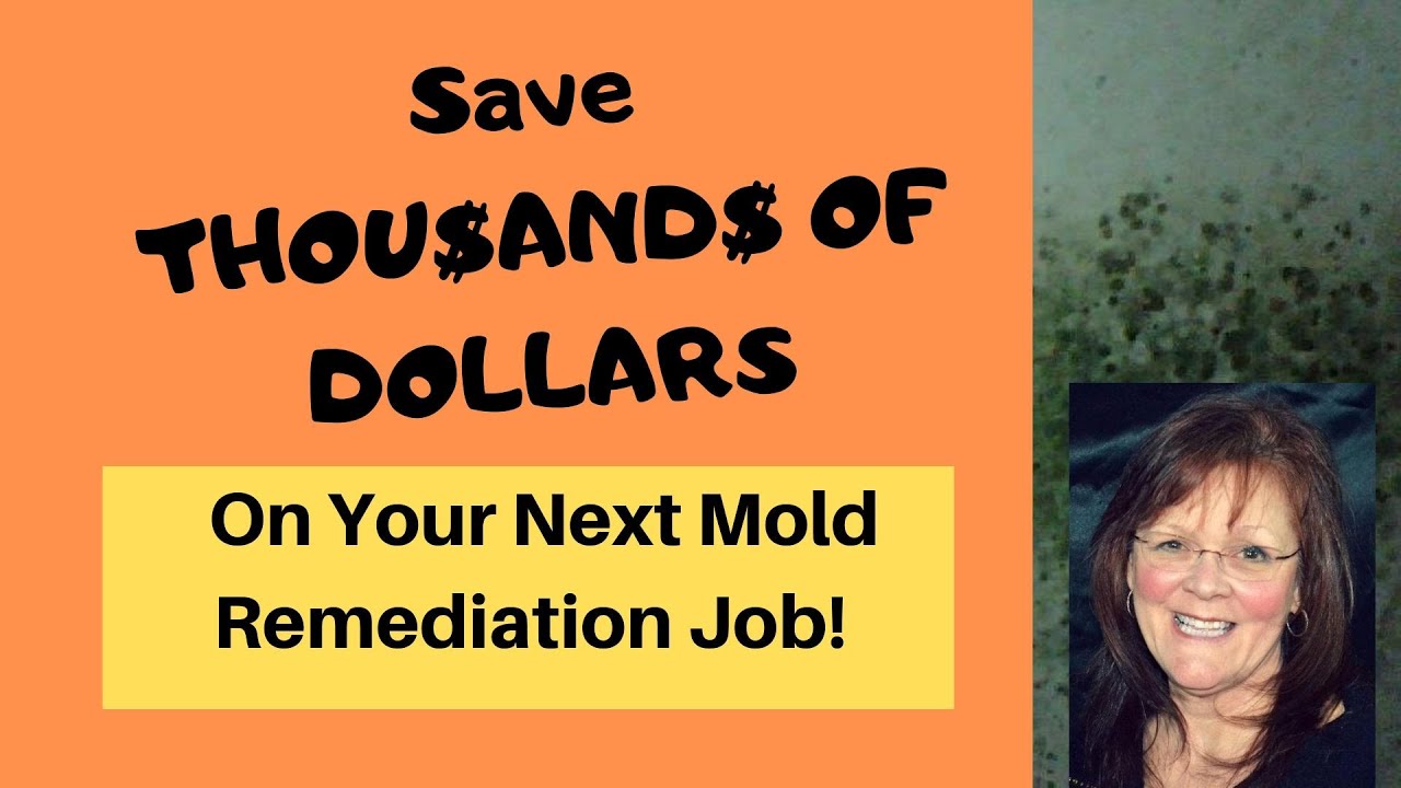 Remove the Musty Smell from a Flooded House or Basement - YouTube