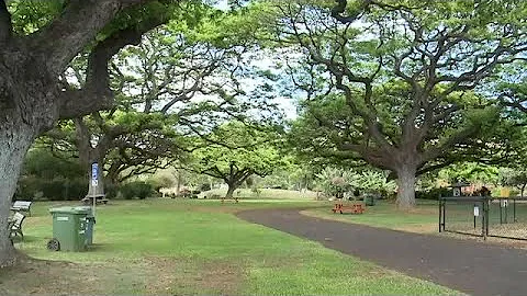 Honolulu Zoo 'Scarevenger' Hunt Preview