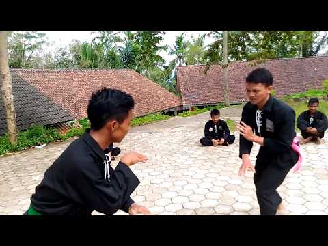 Video dukemntasi latihan seni tarung PSHT dan latihan tendangan target PSHT. Semoga bermanfaat! Sila. 