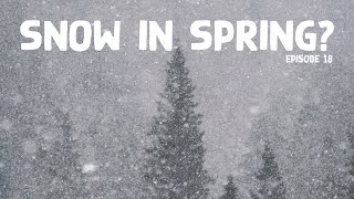 Ep18 MP - Time-lapse photography, and it did not go according to plan