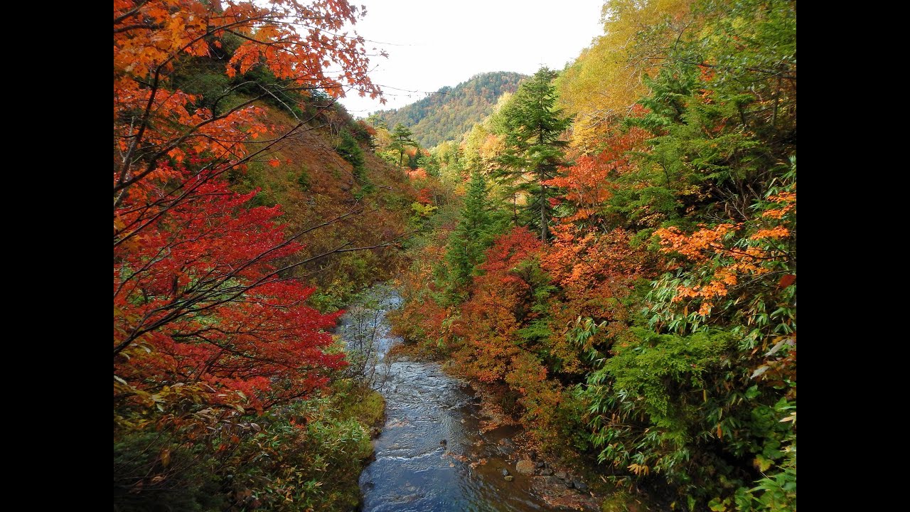 紅葉の沢登り 片品川 中ノ岐沢 小淵沢遡行 Youtube