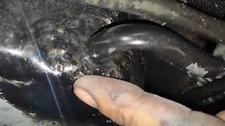pajero box type .atf leak