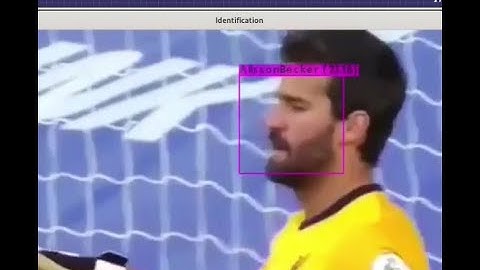 RecoMadeEasy  ® Recognition Technologies Face Detection and Recognition