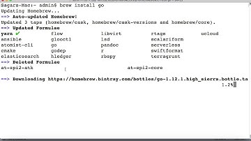 How to install jython, kotlin, go, clojure in mac | check version