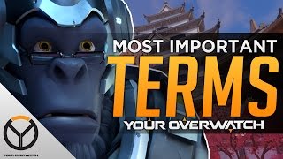 Overwatch: Top 10 Most Important Terms to Know