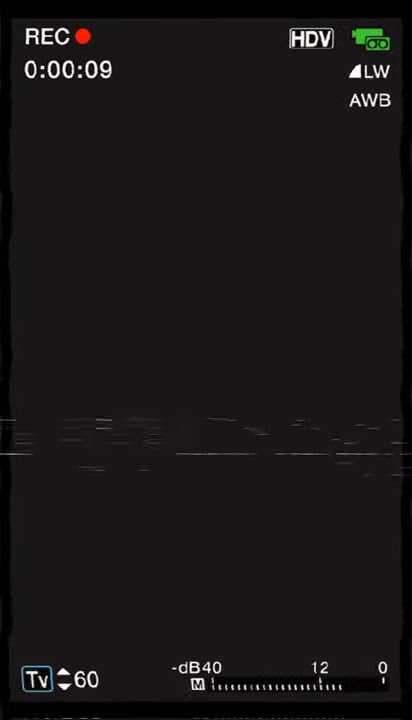 Vhs overlay (vertical)