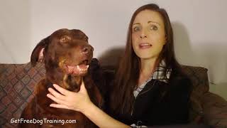 The online dog trainer review: Does It REALLY Work
