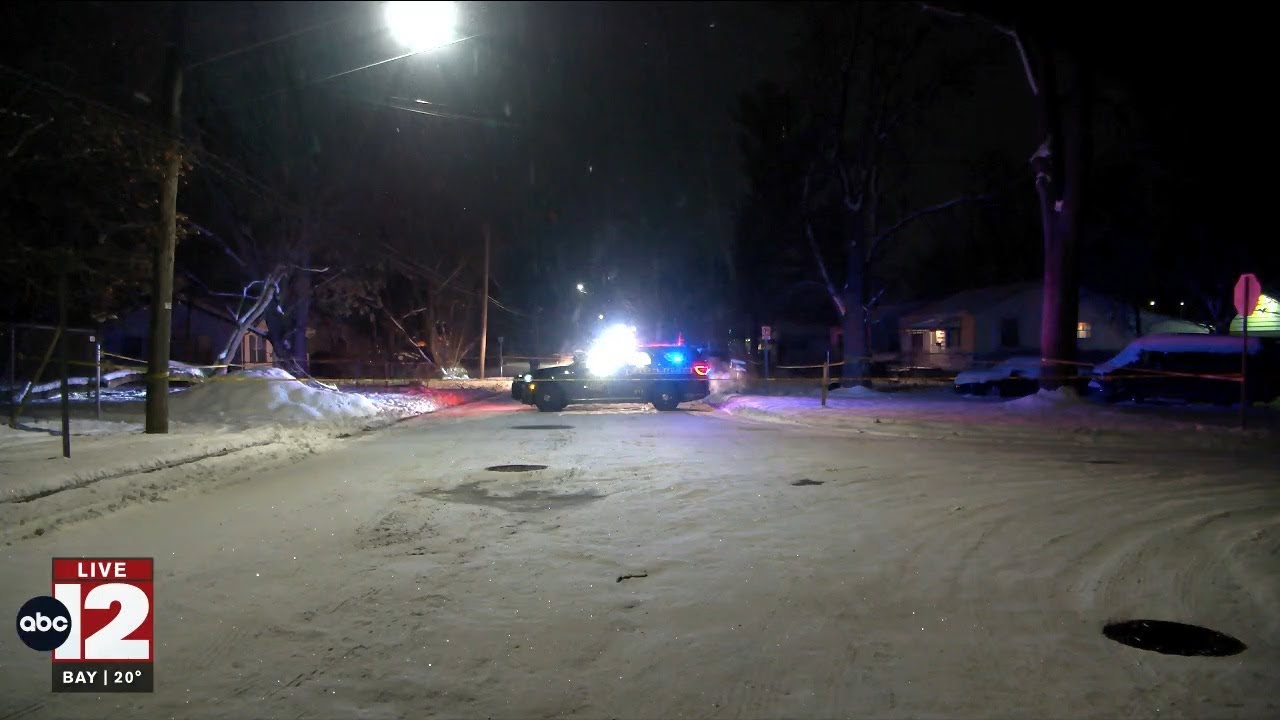 Two men shot and killed at residence in Mt. Morris Township