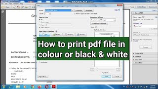 How to print pdf file in colour or black and white screenshot 2