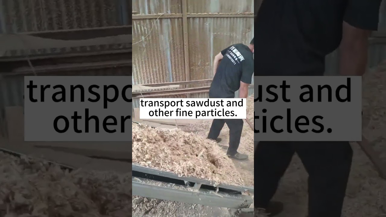 Sawdust Belt Conveyor