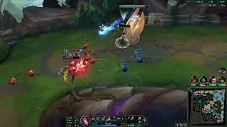 Fiora things