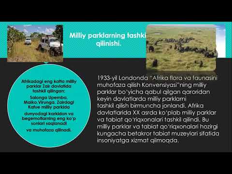 Video: Ekologik Muvozanat Nima?