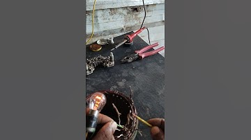 Tata BS4 Lucas TVS 24 volt alternator ka starter couail check karne ka tarika @auttotech