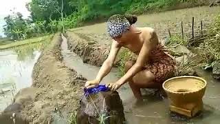 CINGIREH..kelakuane ora nguati