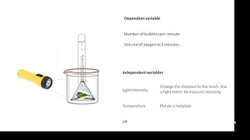 BTEC Applied Science: Unit 3 Biology Factors affecting Plant Growth