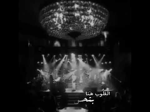 حبيبي تعالى نانسي عجرم حالات واتس ستوري رومانسي رهيب حالة واتساب تجنن اجمل مقاطع تيك توك