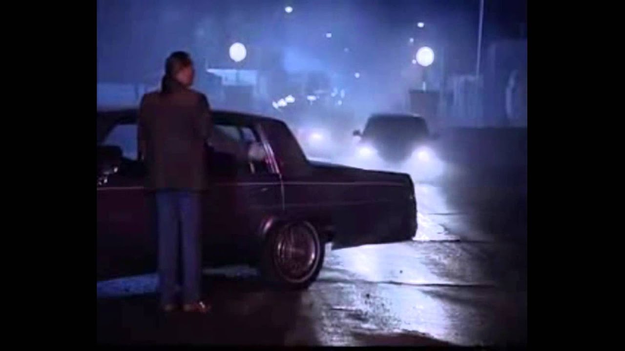 Spiders Attacks on small town