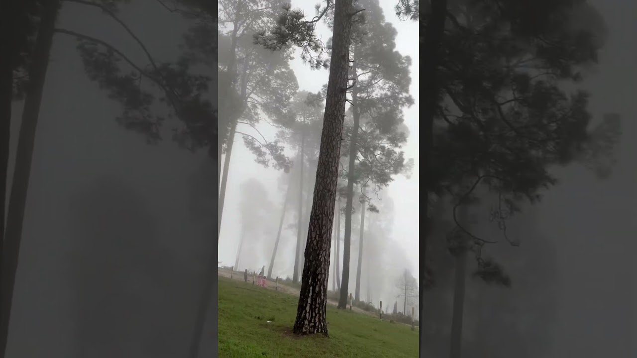 Hidden Gem Himachal Pradesh 