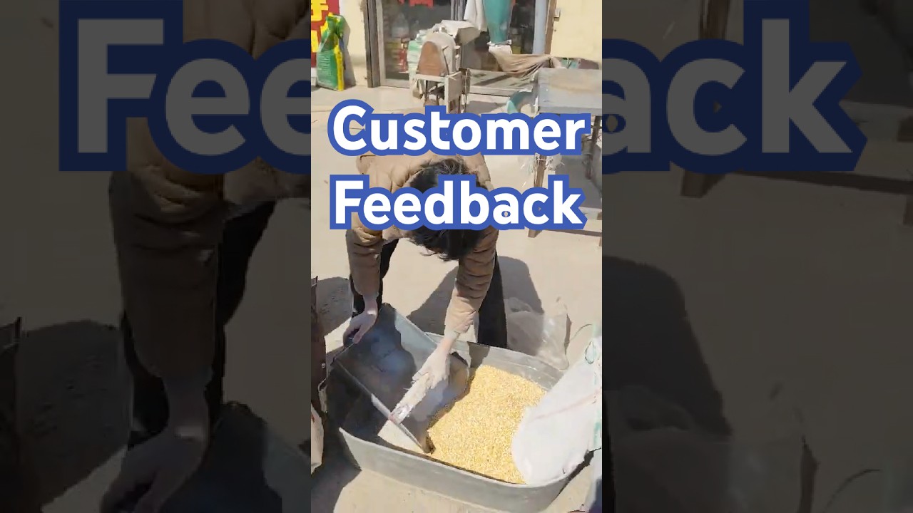 Real Customer Feedback: Efficient Corn Crusher in Action for Animal Feed 