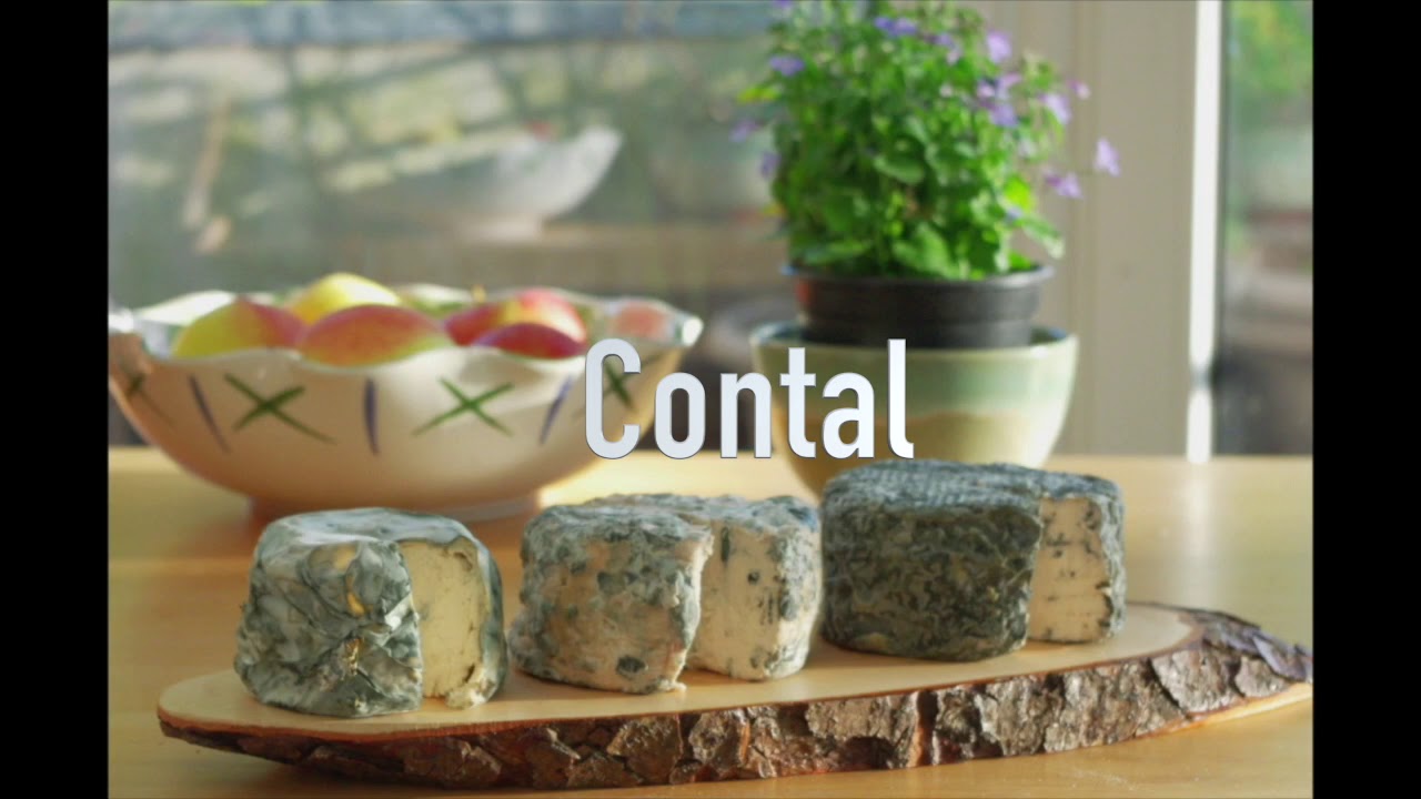 QUESOS FRANCESES. La producción de queso en Francia. Excursiones en fábricas de queso.