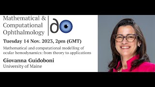Mathematical and computational modelling of ocular hemodynamics: from theory to applications