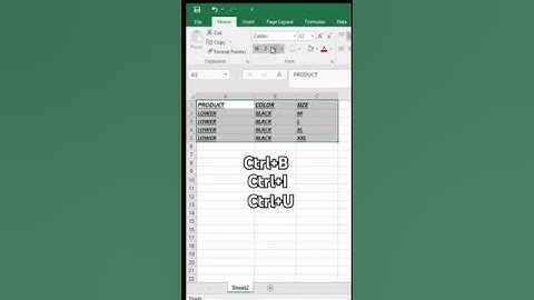 How can Bold,Italic,underline the text with use shortcut keys or font tab @data formating #excel
