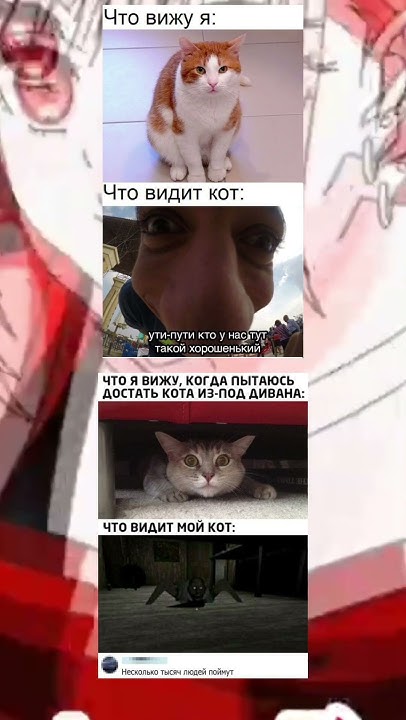 мемы #meme #мем #mem #мемы #меме #memes #юмор #мемес - YouTube