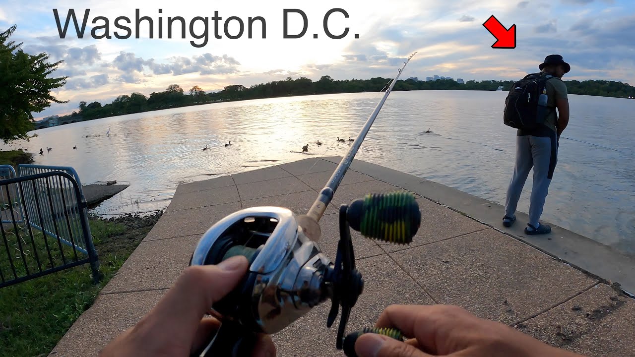 URBAN FLOOD FISHING in the TIDAL BASIN!!! (ft. Reggie)